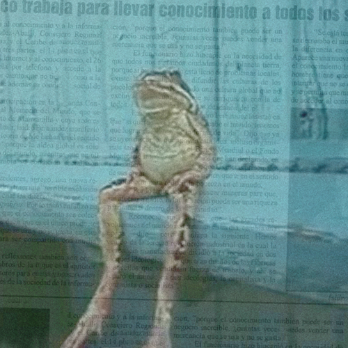 13.08.16_LuizBernardoPericas_O sapo Gonzalo em_Noticiero Argentino