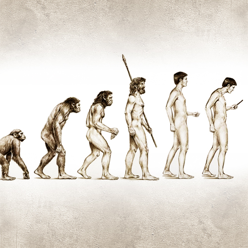 Evolução humana