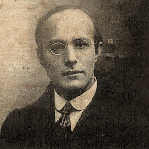 Ruy Braga Karl Polanyi