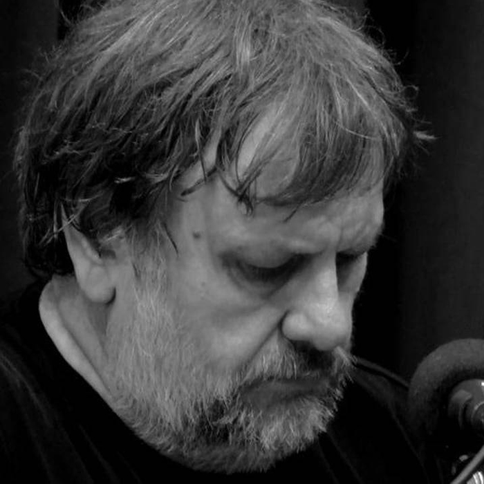 Zizek Brexit