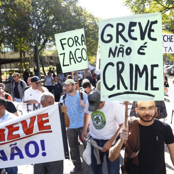 greve usp